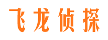 武川市侦探公司